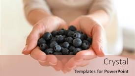  Presentation with blueberry - 
