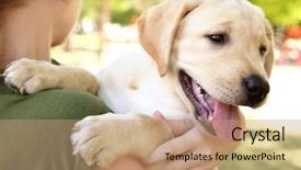  Presentation with cute - Beautiful presentation design featuring girl holding cute labrador retriever backdrop and a coral colored foreground
