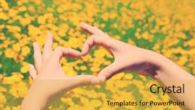  Presentation with heart flowers - Presentation theme enhanced with girl holding hands in heart shape framing on yellow flowers background background and a yellow colored foreground