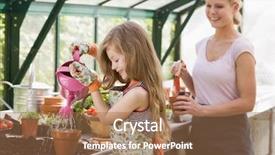  Presentation with young plant - Cool new PPT theme with girl in greenhouse watering plant backdrop and a coral colored foreground
