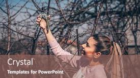  Presentation with fruit tree - Slide set enhanced with girl-in-orchard-pruning background and a violet colored foreground