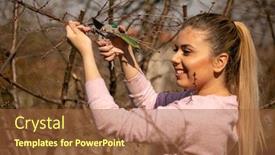  Presentation with fruit tree - Presentation design having girl-in-orchard-pruning background and a red colored foreground