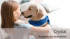  Presentation with service animal - Cool new PPT theme with girl in wheelchair with service backdrop and a soft green colored foreground