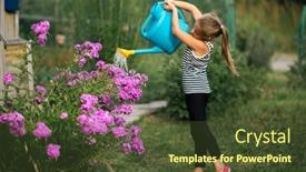  Presentation with flowers - Slide deck having girl-is-watering-flowers background and a  colored foreground