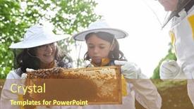  Presentation with honeycomb - Slide set with girl-learning-about-apiculture and a coral colored foreground