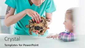  Presentation with veterinary - Slide deck consisting of girl looking at doctor examining turtle in veterinary clinic background and a mint green colored foreground