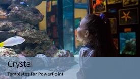  Presentation with fish aquarium - Colorful PPT theme enhanced with girl looking at fish tank backdrop and a teal colored foreground