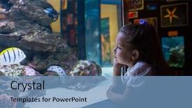  Presentation with think tank - Slide set with girl looking at fish tank background and a teal colored foreground