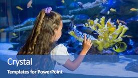  Presentation with fish aquarium - Amazing slide set having girl looking at fish tank backdrop and a teal colored foreground