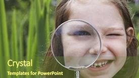  Presentation with looking glass - Beautiful presentation design featuring airboat - alligator in the everglades florida backdrop and a gray colored foreground