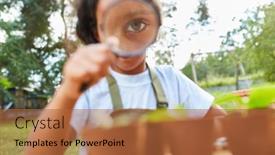  Presentation with plant biology - Cool new presentation with girl-looks-at-a-plant backdrop and a red colored foreground