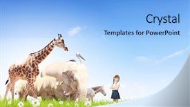  Presentation with school - Slide deck consisting of girl outdoor with wild animal background and a light blue colored foreground