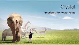  Presentation with school - Cool new presentation theme with girl outdoor with wild animal backdrop and a light blue colored foreground
