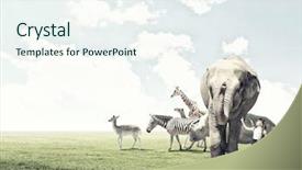  Presentation with cute nursing anime - Slide deck enhanced with girl outdoor with wild animal background and a sky blue colored foreground