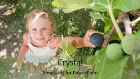  Presentation with fig tree - Slide deck consisting of girl picking of tree ripe background and a seafoam green colored foreground