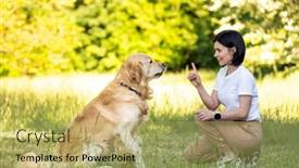  Presentation with golden - Presentation having girl-playing-with-golden-retriever background and a  colored foreground