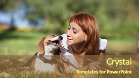  Presentation with beagle dog - PPT theme consisting of playing with her beagle dog background and a tawny brown colored foreground