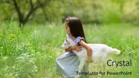  Presentation with animal nature - PPT theme featuring girl plays and hugs goatling background and a yellow colored foreground