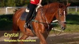  Presentation with horse riding - Theme enhanced with girl riding horse background and a tawny brown colored foreground