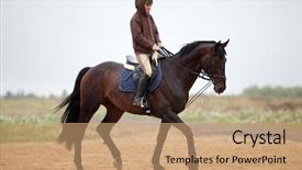  Presentation with horse riding - Amazing slide deck having girl riding on bay horse backdrop and a coral colored foreground