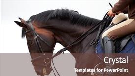  Presentation with horse riding - PPT theme consisting of girl riding on bay horse background and a tawny brown colored foreground