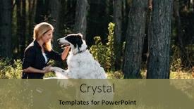  Presentation with forest - Amazing presentation theme having girl-sitting-with-dog backdrop and a violet colored foreground