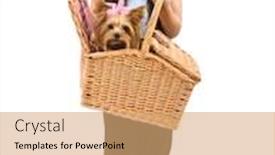  Presentation with straw - Cool new presentation with girl wearing a straw hat and pink sunglasses holding a picnic basket with yorkshire terrier dog backdrop and a coral colored foreground