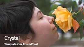  Presentation with rose yellow - Presentation theme enhanced with girl with a yellow rose 3 background and a tawny brown colored foreground