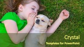  Presentation with dog - Theme enhanced with girl with her chihuahua dog background and a tawny brown colored foreground