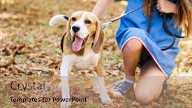  Presentation with beagle dog - Slide deck consisting of girls sitting together hugging beagle dog in a sunshine autumn park background and a coral colored foreground