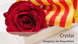  Presentation with flag - Slide set enhanced with give red roses and books background and a soft green colored foreground