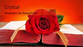  Presentation with old book - Slide deck having give red roses and books background and a red colored foreground