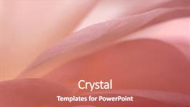  Presentation with pink petal flower animated - Theme featuring giver - macro of delicate pale pink background and a  colored foreground