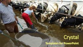  Presentation with caring - PPT layouts with giving them mineral supplement background and a tawny brown colored foreground