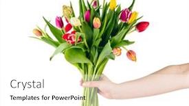  Presentation with tulip - 