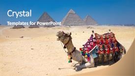  Presentation with cairo - Cool new PPT layouts with gizi - colorfully saddled camel waits backdrop and a teal colored foreground