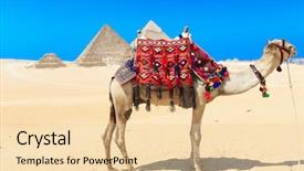  Presentation with cairo - Audience pleasing PPT layouts consisting of gizi - pyramids with a beautiful sky backdrop and a  colored foreground