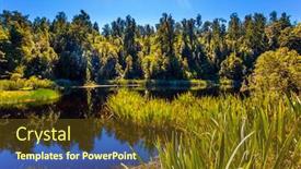  Presentation with forests - Presentation theme enhanced with glacial-lake-matheson-is-surrounded background and a tawny brown colored foreground