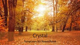  Presentation with green lawn - Theme having glade and big old oak background and a gold colored foreground