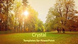  Presentation with green lawn - Slide set with glade and big old oak background and a tawny brown colored foreground