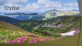  Presentation with summer flowers - Audience pleasing theme consisting of glades - summer landscape pink flowers backdrop and a  colored foreground