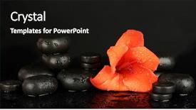  Presentation with bud - Colorful slide deck enhanced with gladiolus bud isolated on black backdrop and a black colored foreground