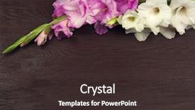  Presentation with flower - PPT theme with gladiolus flower on wooden background background and a wine colored foreground