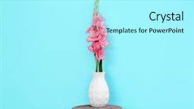  Presentation with stop violence against children - Presentation design consisting of gladiolus in vase on stool background and a  colored foreground