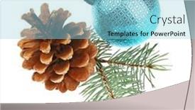  Presentation with pine - PPT theme featuring glass ball strobile and pine-tree branch isolated on white background and a light blue colored foreground