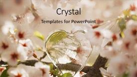  Presentation with sakura - Audience pleasing PPT theme consisting of glass clear heart in spring with blossom cherry flower sakura backdrop and a soft green colored foreground