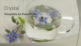  Presentation with tea cup - Presentation theme featuring glass-cup-with-borage-tea background and a light gray colored foreground