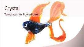  Presentation with fish decapteruss ruselli - Amazing slides having glassblowing - glass figure of fish backdrop and a sky blue colored foreground
