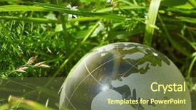  Presentation with green glass - Audience pleasing theme consisting of glass globe in the grass backdrop and a  colored foreground