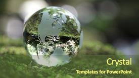  Presentation with moss - Beautiful presentation theme featuring glass globe resting on moss backdrop and a tawny brown colored foreground
